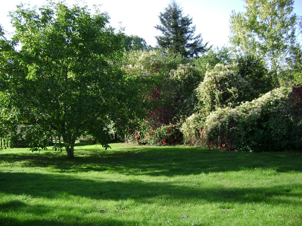 Les Chandelles Bed & Breakfast Villiers-le-Morhier Екстер'єр фото